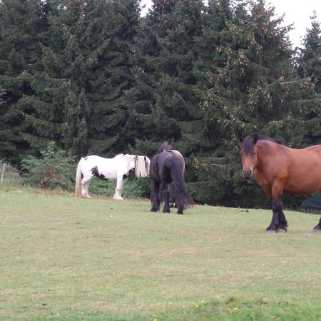 B&B All Seasons Winterberg Eksteriør bilde