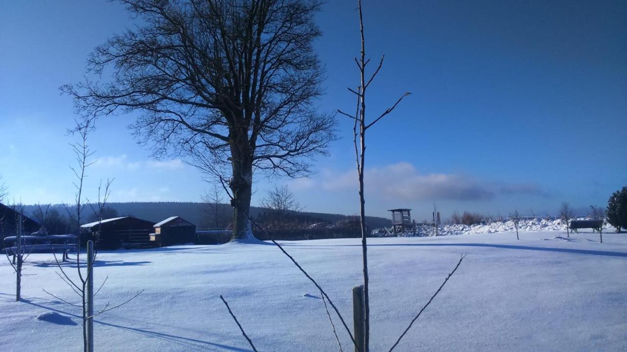 B&B All Seasons Winterberg Eksteriør bilde
