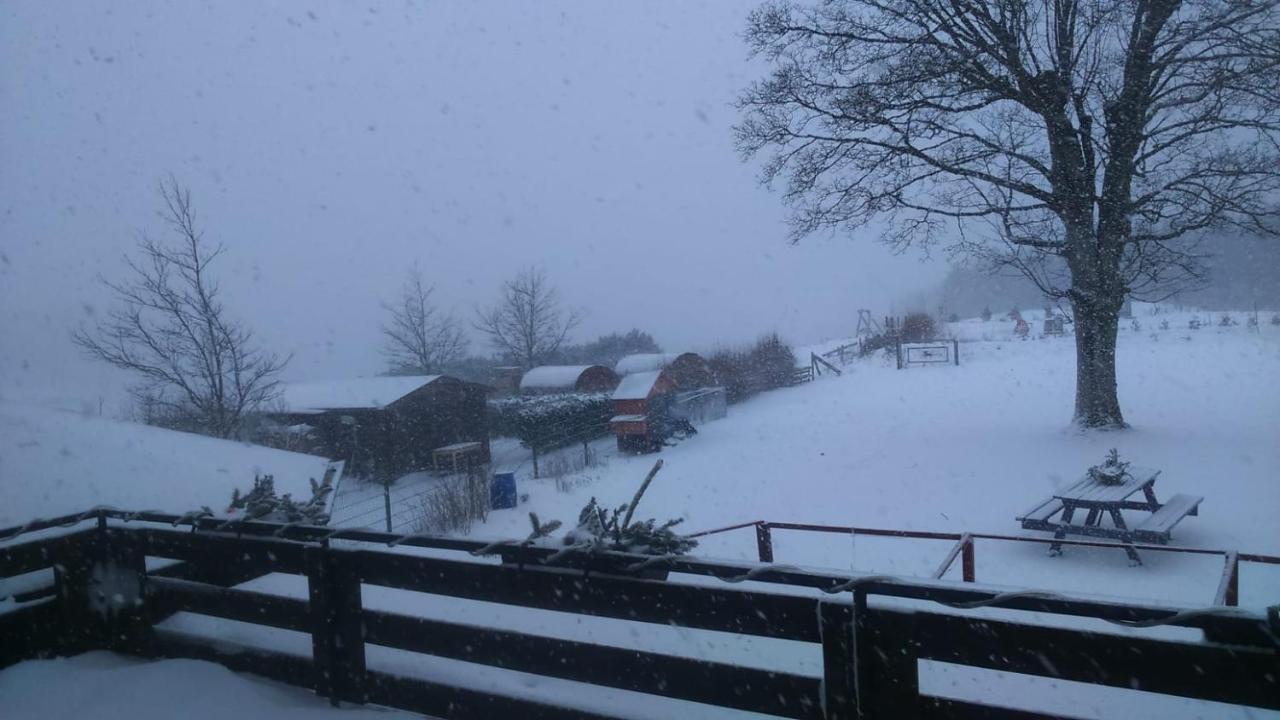 B&B All Seasons Winterberg Eksteriør bilde