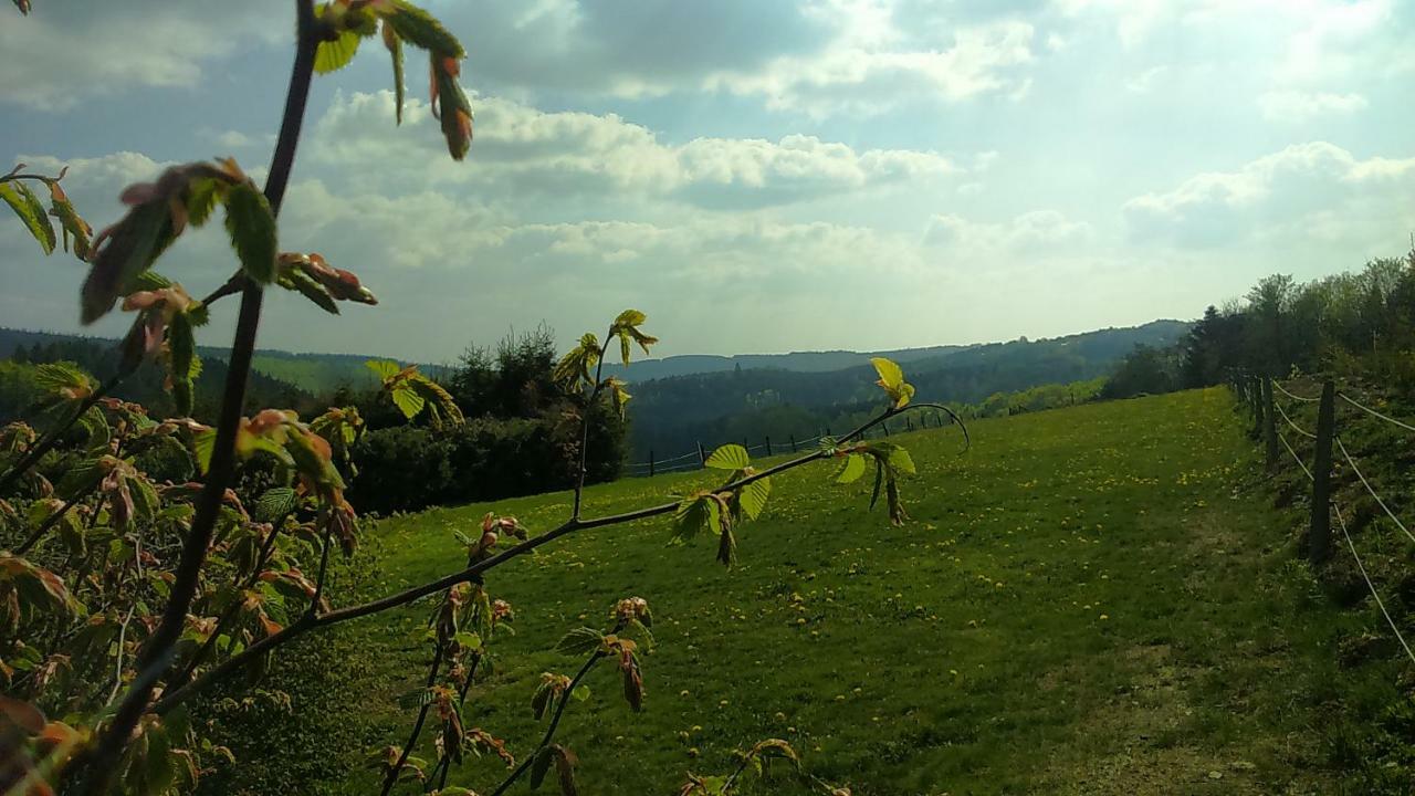 B&B All Seasons Winterberg Eksteriør bilde